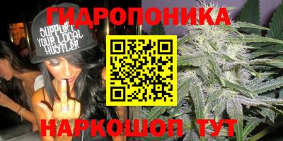 гашишное масло Заводоуковск