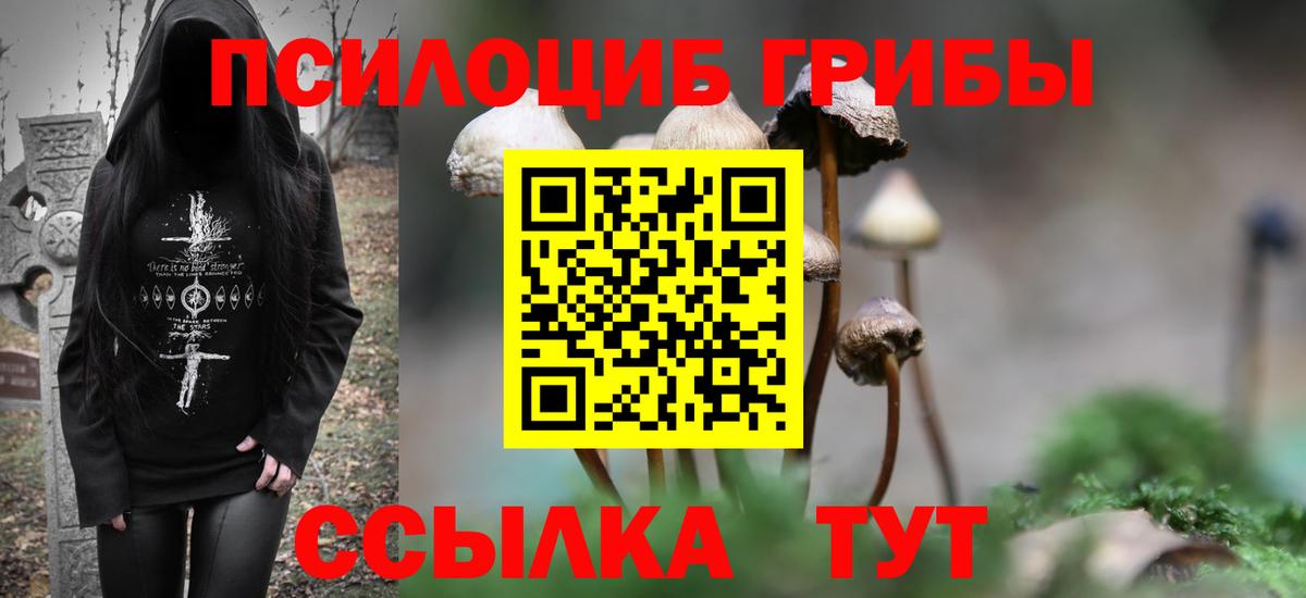 Галлюциногенные грибы Psilocybe  Вход с VPN  Галлюциногенные грибы Magic Shrooms  Лесозаводск 